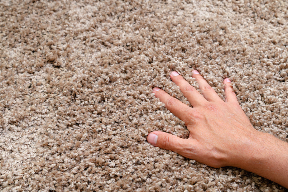 hand feeling plush carpet